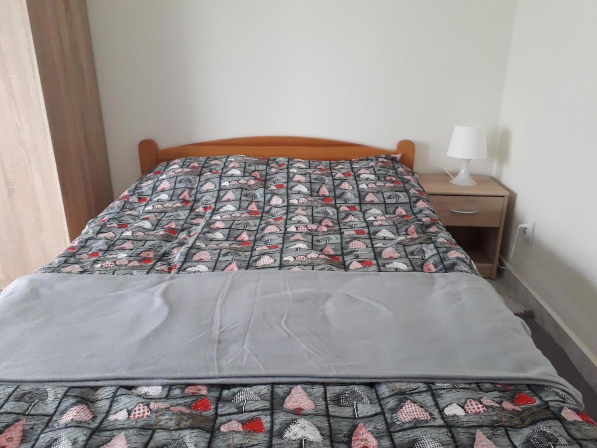 Bed and Breakfast Dom Joanna Дзівнув Екстер'єр фото