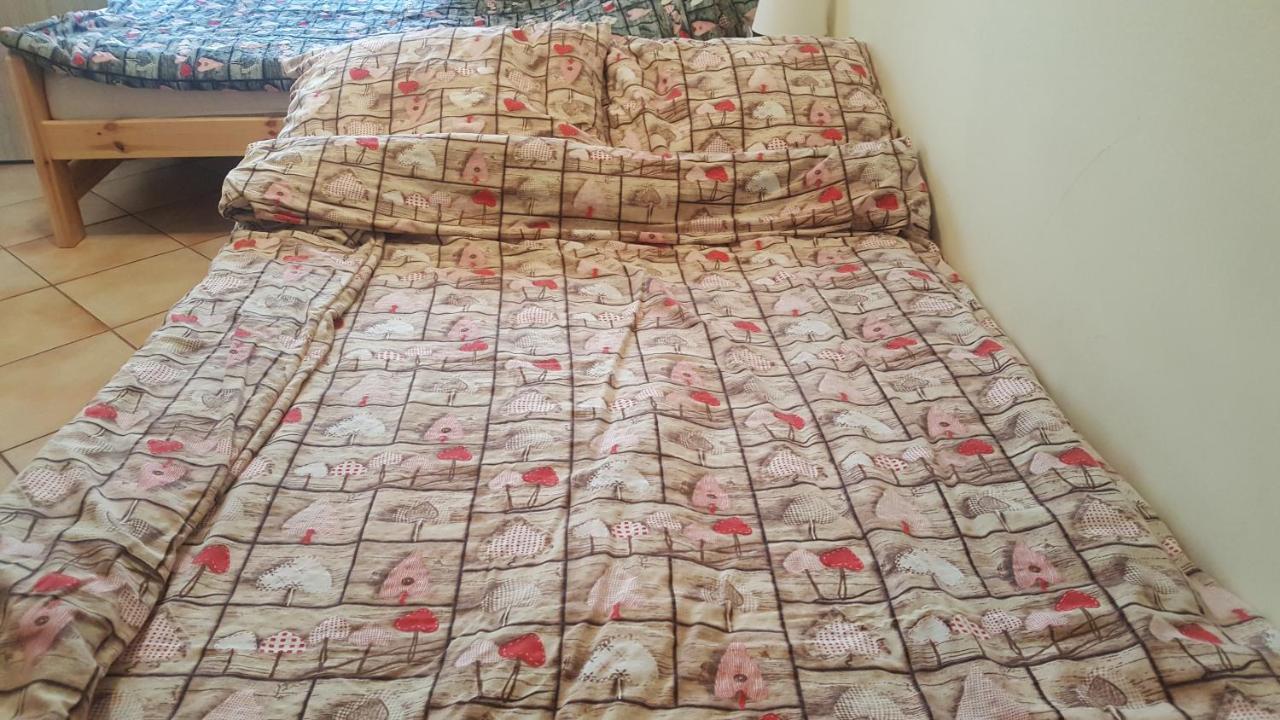 Bed and Breakfast Dom Joanna Дзівнув Екстер'єр фото